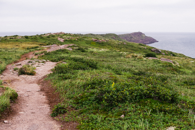 ECT Cape Spear-1-2